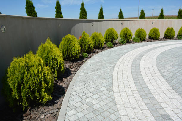 Best Driveway Pavers Near Me  in Black Point Green Point, CA